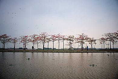 上帝扮演游戏《Godus》和《Godus Wars》确认从Steam下架